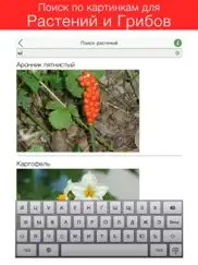 Отравление – Первая помощь pro айпад изображения 3