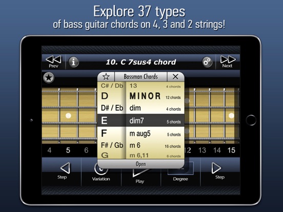 Screenshot #5 pour Bassman Chords