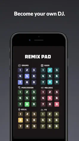 Game screenshot Remix Pad - Beat Maker hack