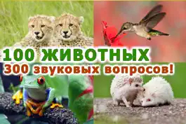 Game screenshot Животные для детей! LITE mod apk