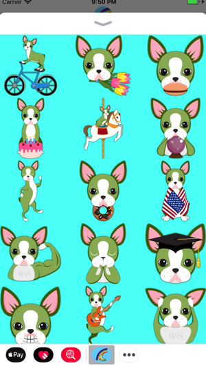 St Patrick's Boston Terrier(圖1)-速報App
