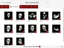 Game screenshot Head and Neck Anatomy 3 hack