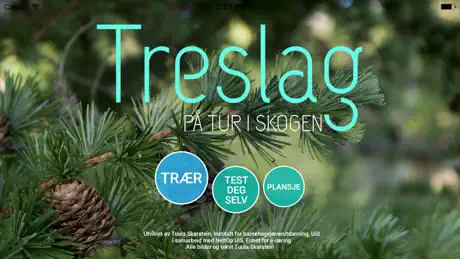 Treslag - på tur i skogen