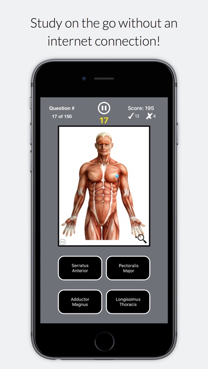 Anatomist – Anatomy Quiz App for Medical Students screenshot-3
