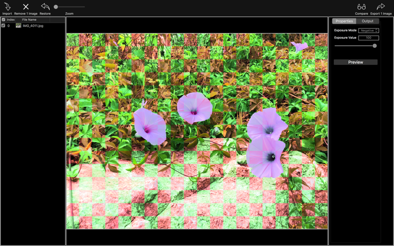 Image Exposure Effect screenshot 2