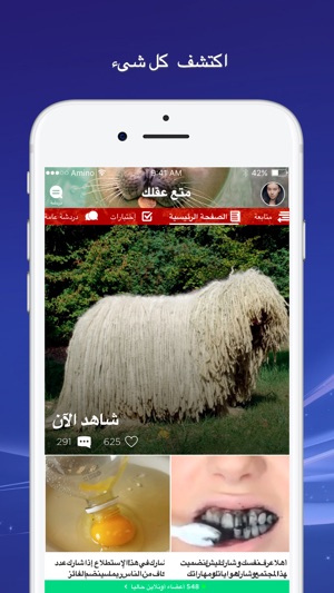 Amino متع عقلك(圖1)-速報App