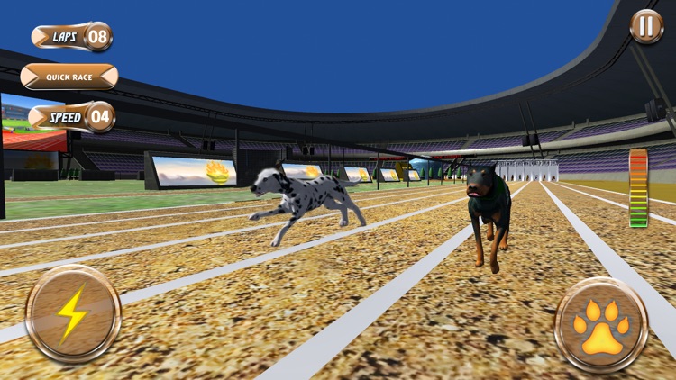 Greyhound Racing Tournament 2