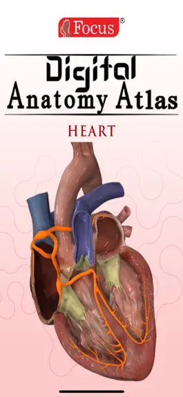 Game screenshot HEART -  Digital Anatomy mod apk