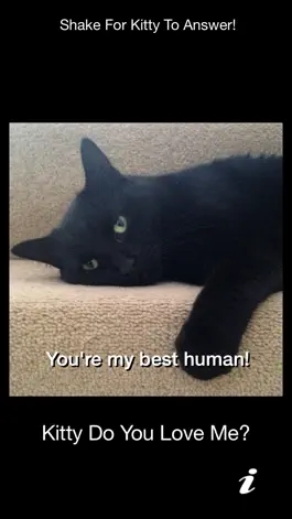 Game screenshot Kitty Do You Love Me? apk