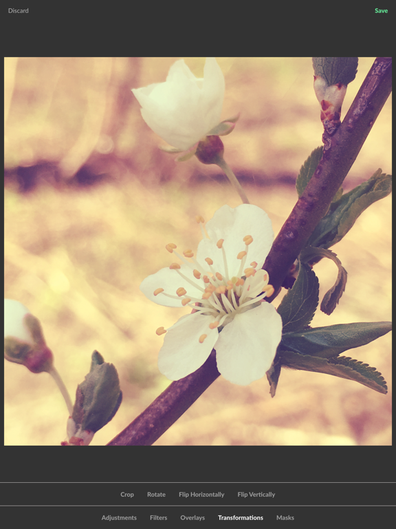 Essential Touch - Photo Editor iPad screenshot 4 - Photo & Video app