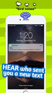 new text tones iphone screenshot 4