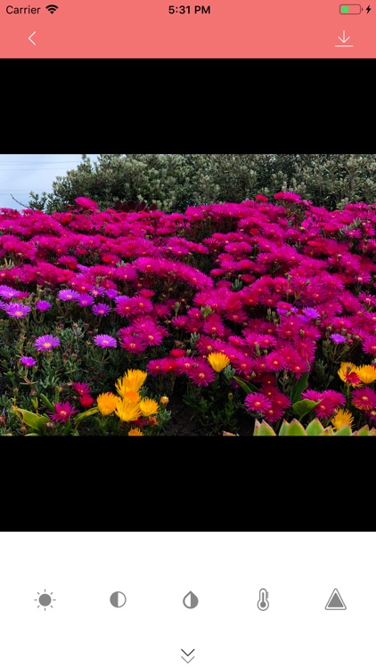 TasticPhoto screenshot-3