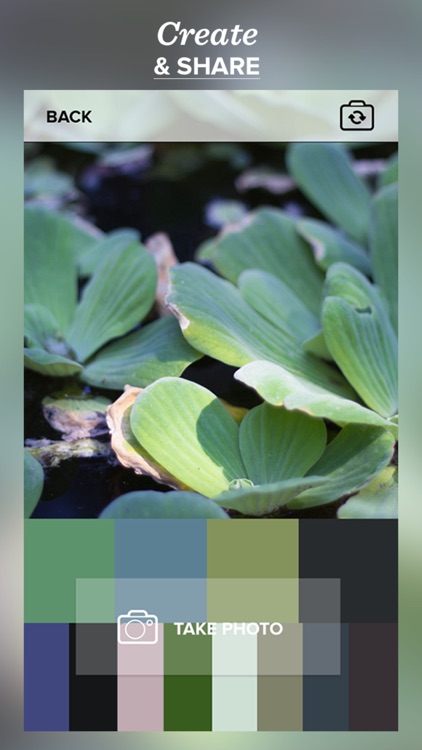 Color Viewfinder - The real time palette generator