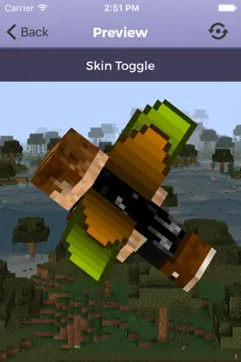 Game screenshot Elytra Creator - Minecraft PC mod apk