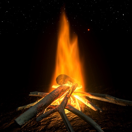 Log Fire Icon