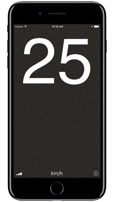 Speedometer‰ screenshot 1