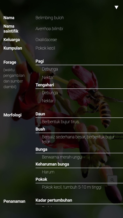 MARDI myBeeMenu screenshot-3