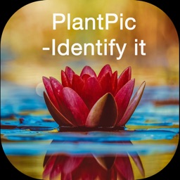 PlantPic-Flower,Plant Identify