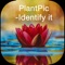 PlantPic is a beautiful app that allows to identify any plant,flower or tree