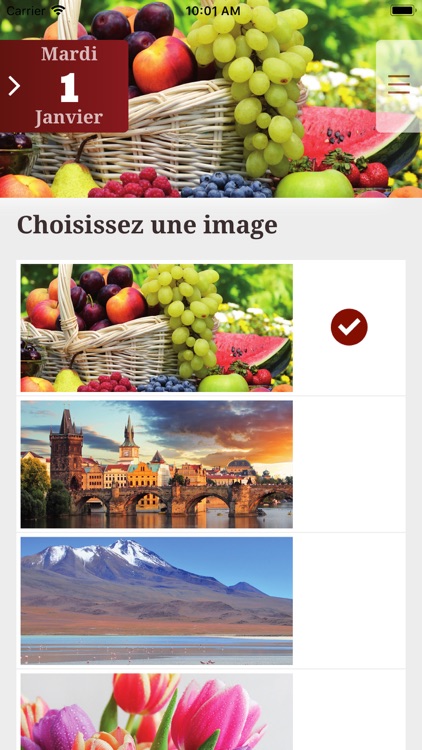 La Bonne Semence 2019