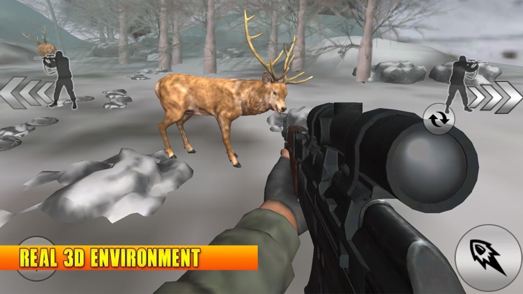 Modern Deer Shooting