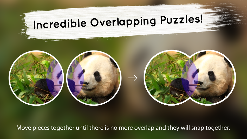 #2. Venn: Jigsaw Puzzle (iOS) 由: Wiggles 3D