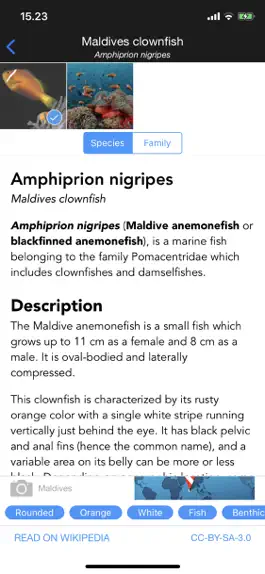 Game screenshot WhatFish, Identification Guide hack