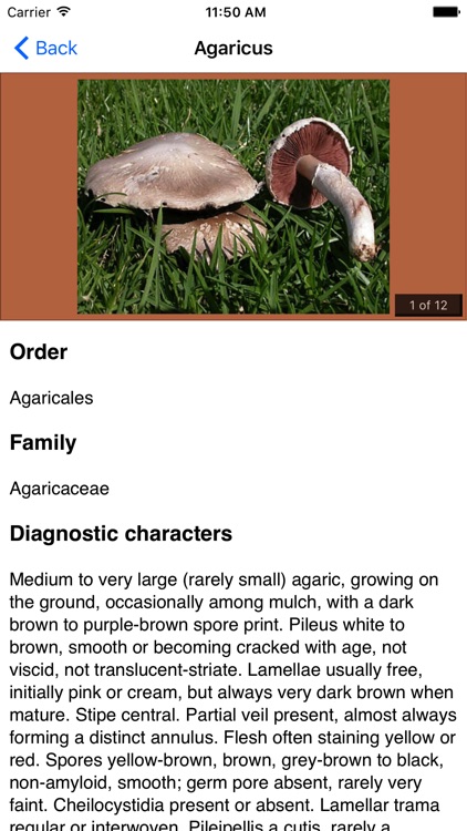 FunKey: Key to Agarics of Australia screenshot-3