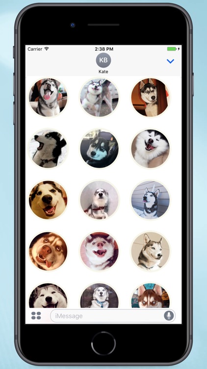 Husky Faces Stickers