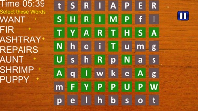 Word Searched Game in English screenshot 4