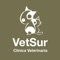VETSUR son clínicas veterinarias especializadas en cirugía general y traumatología