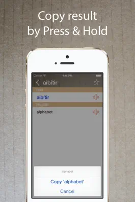 Game screenshot Irish English Dictionary + hack