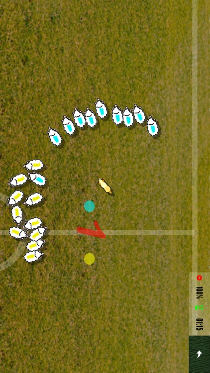 Sheep dog Championship screenshot-4