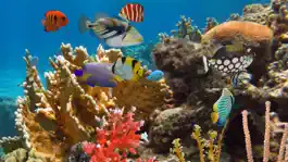 Game screenshot MyReef 3D Aquarium 2 HD apk