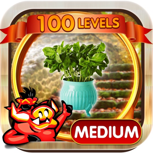 Steps Hidden Objects Games Icon