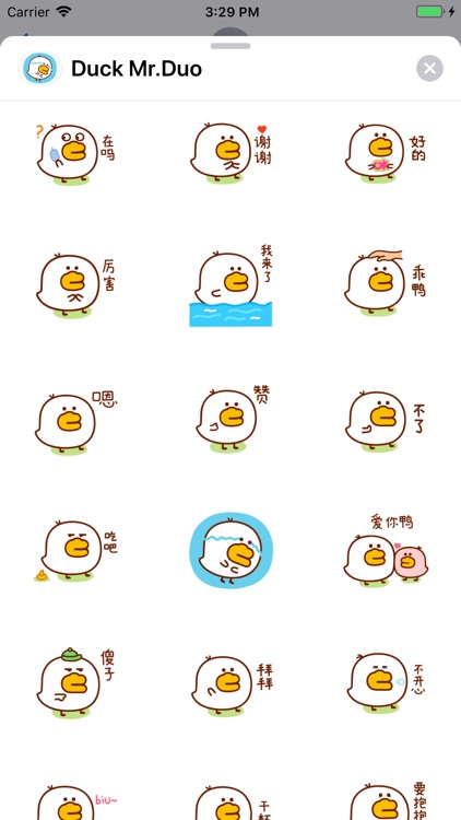 Small Duck Mr.Duo Sticker