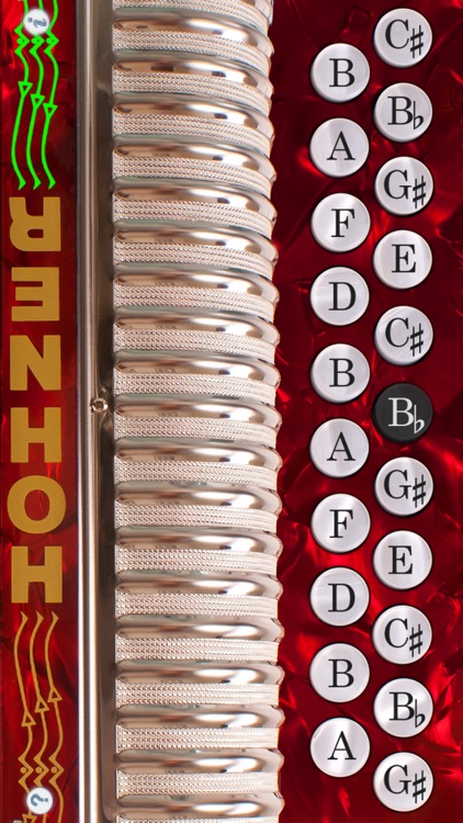 Hohner B/C Mini-Accordion
