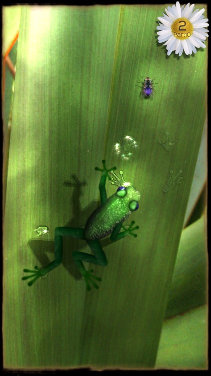 Ancient Frog screenshot-3