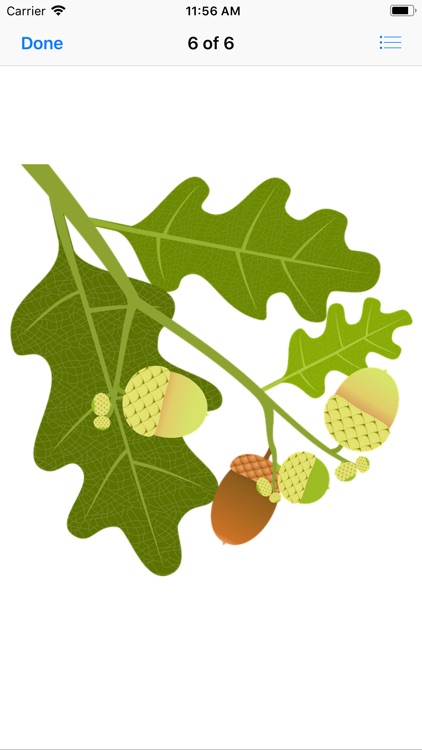Acorn Stickers screenshot-7