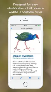 wildlife southern africa iphone screenshot 3