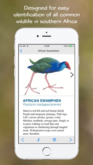 Wildlife Southern Africa(圖3)-速報App
