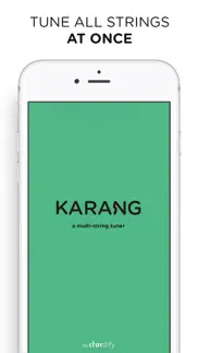 karang - guitar tuner iphone screenshot 1