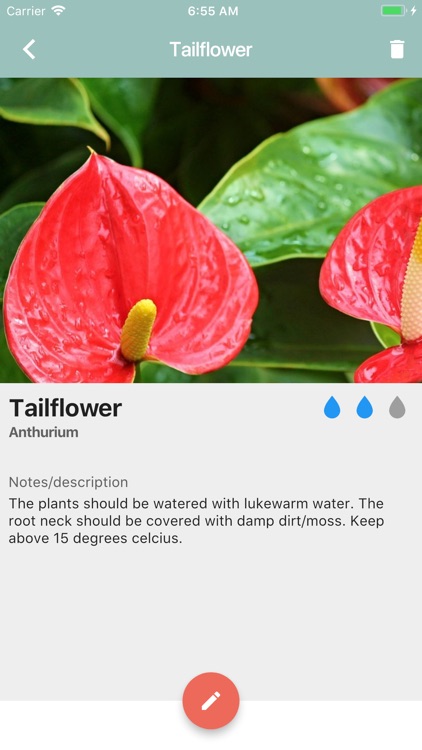 Plantwell - Water plants