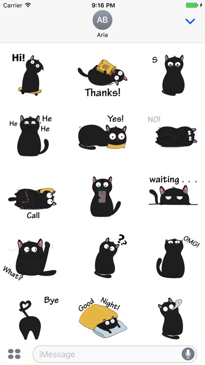 Animated Lovely Black Cat