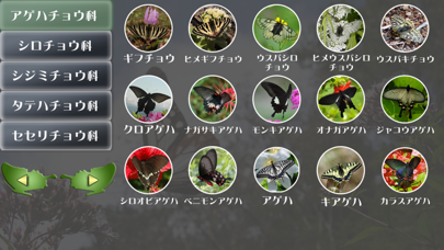 Screenshot #1 pour 蝶の生態写真図鑑