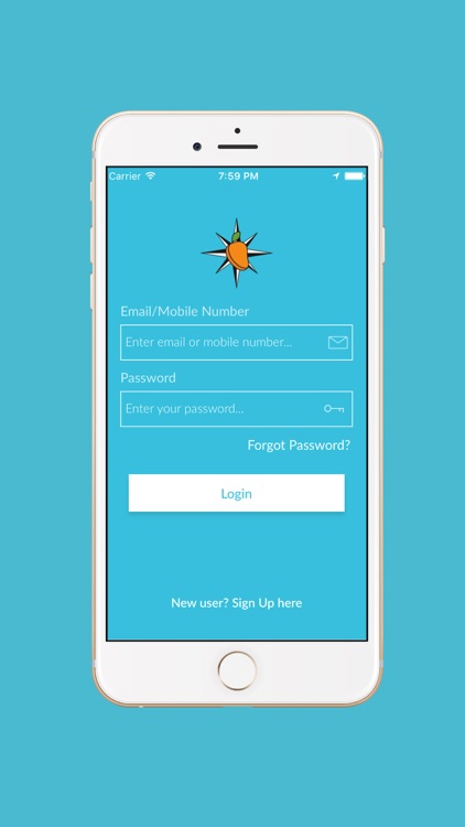 Epifruit Delivery Partner