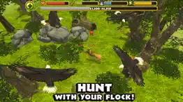 eagle simulator problems & solutions and troubleshooting guide - 1