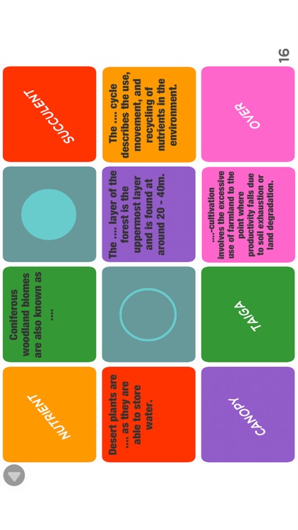 Geography GCSE AQA 9-1