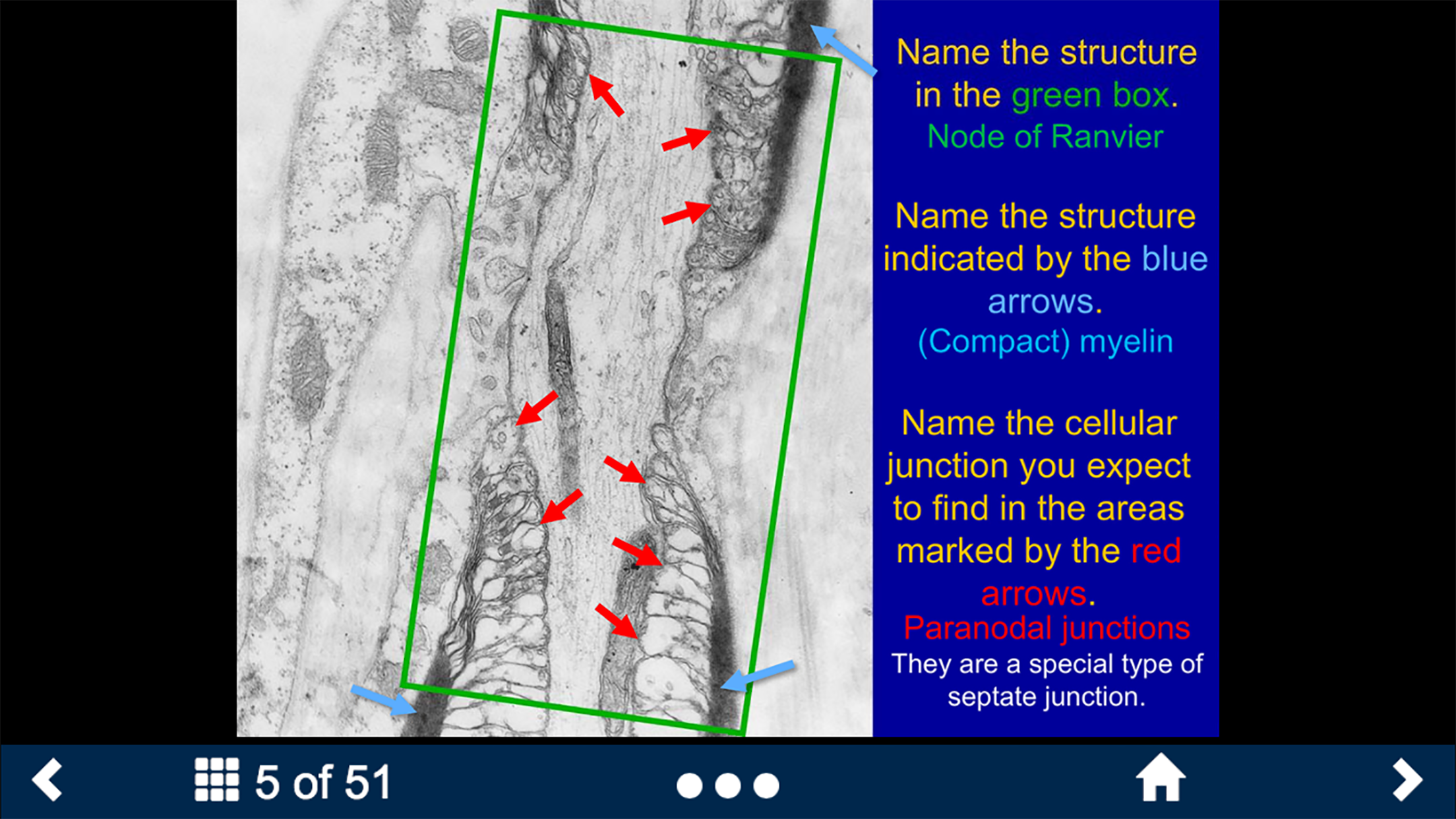 Histology Complete -SecondLook