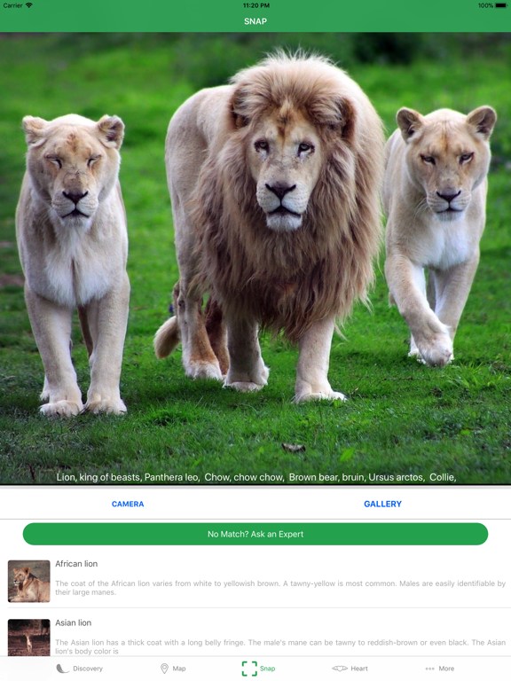 Screenshot #4 pour AnimalSnap - Identify Animals